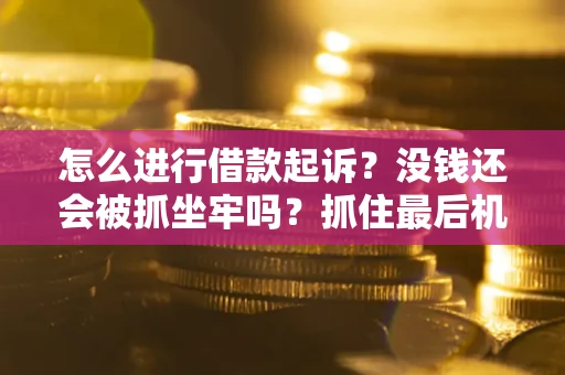 北京怎么进行借款起诉？没钱还会被抓坐牢吗？抓住最后机会！