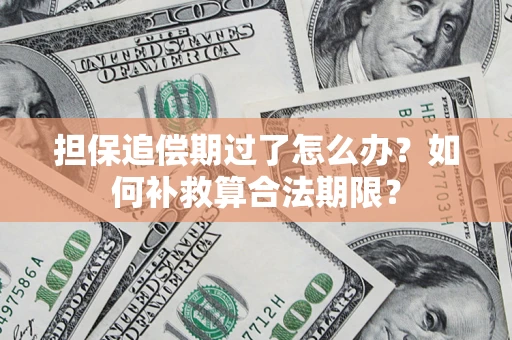 北京担保追偿期过了怎么办？如何补救算合法期限？